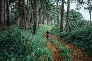 BIB: 
                            <button type="button" onclick="openModal(25688257)" class="btn btn-primary btn-sm float-right btn-popup" data-toggle="modal" data-target=".modal-high-quality">
                        <i class="fas fa-shopping-cart"></i> Add to Cart
                    </button>
                                            <button type="button" onclick="isThisMe(25688257, true)" class="btn btn-success btn-sm float-right btn-popup btn-isme hidden" data-toggle="tooltip" data-placement="bottom" title="นี่คือรูปของคุณใช่ไหม คลิกที่นี่เพื่อเอาเข้าอัลบั้ม">
                        <i class="fas fa-plus"></i> Add to album
                    </button>
                    <button type="button" onclick="isThisMe(25688257, false)" class="btn btn-warning btn-sm float-right btn-popup btn-isnotme hidden">
                        <i class="fas fa-ban"></i> Remove from album
                    </button>